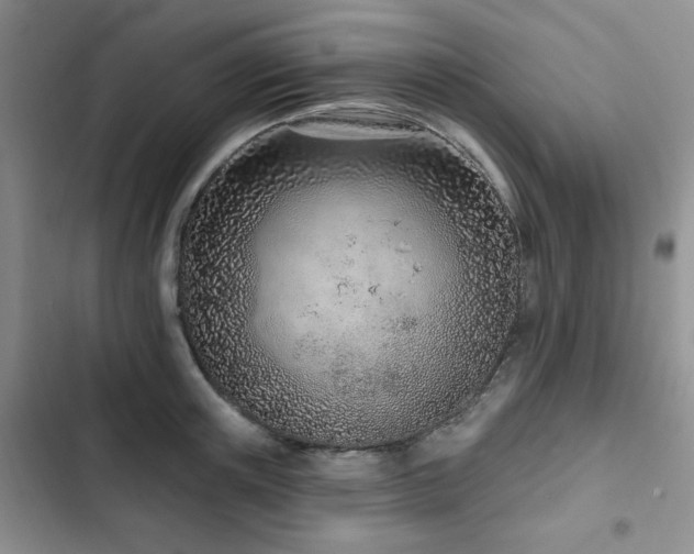 X0000102790851200808181258