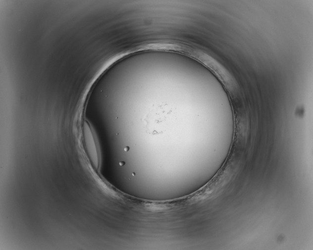 X0000102790852200808181258