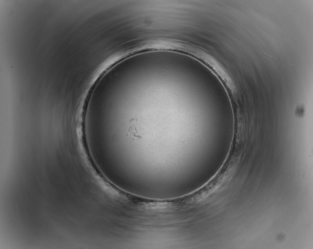 X0000102790853200808181258