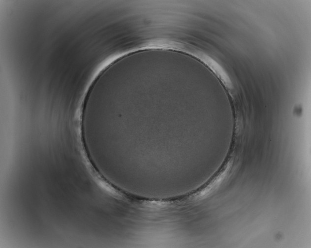 X0000102790854200808181258