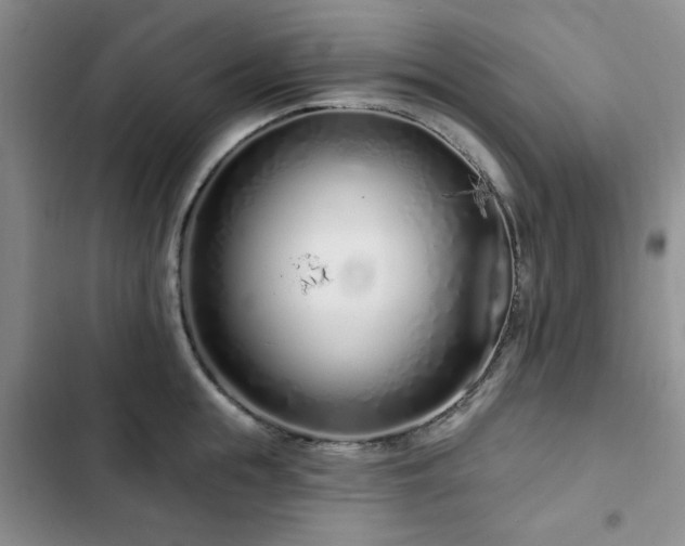 X0000102790855200808181258