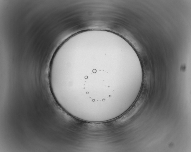 X0000102790856200808181258