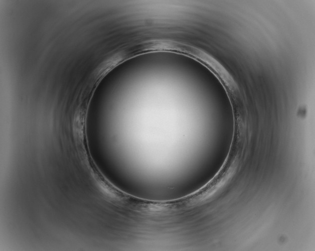 X0000102790857200808181258