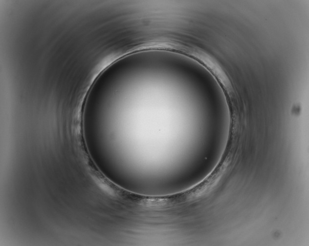 X0000102790858200808181258