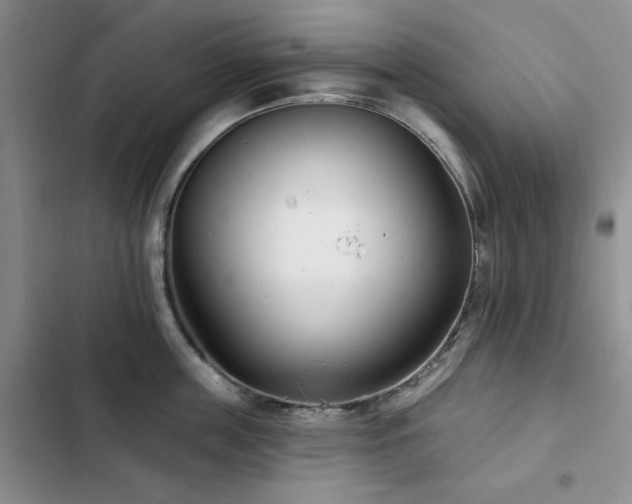 X0000102790859200808181258