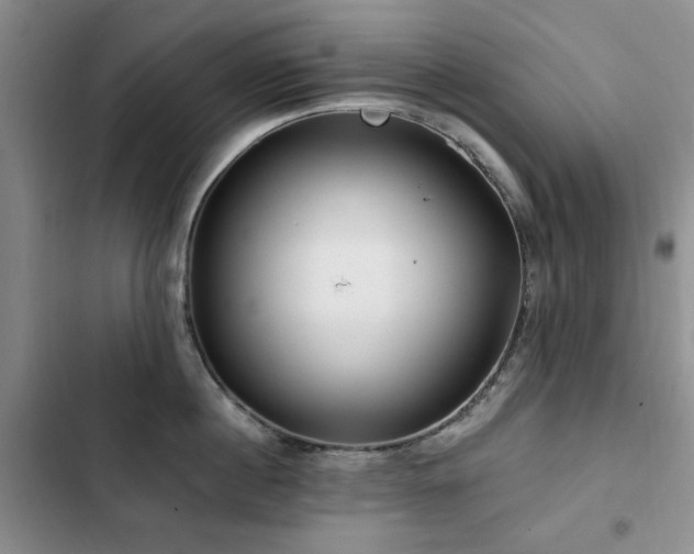 X0000102790860200808181258