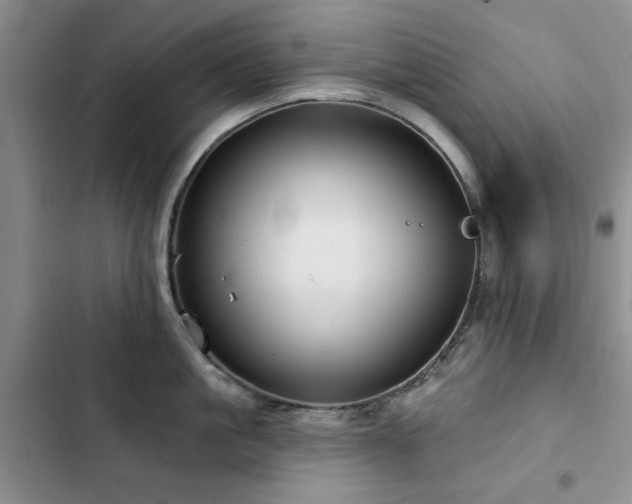 X0000102790861200808181258