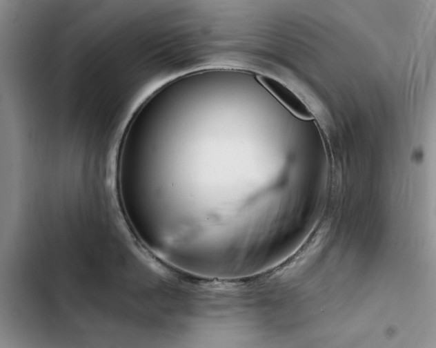 X0000102790862200808181258