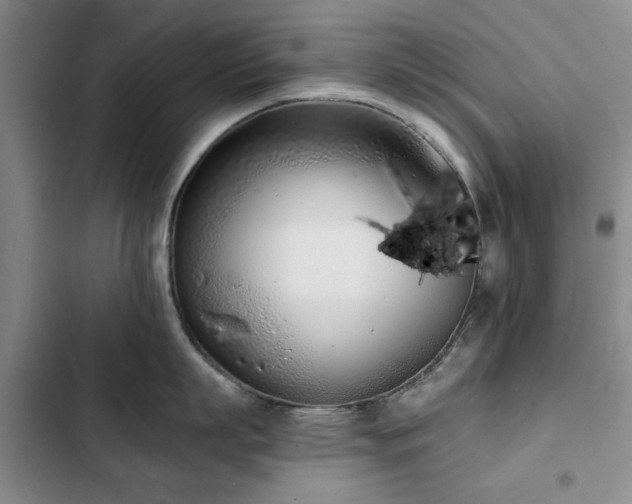 X0000102790863200808181258
