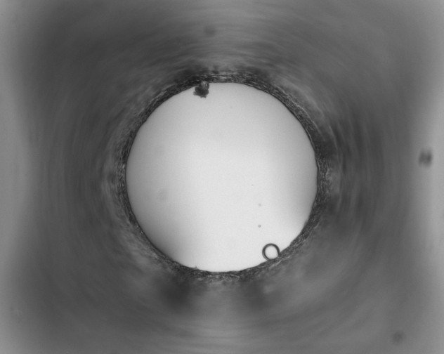 X0000102790865200808181257