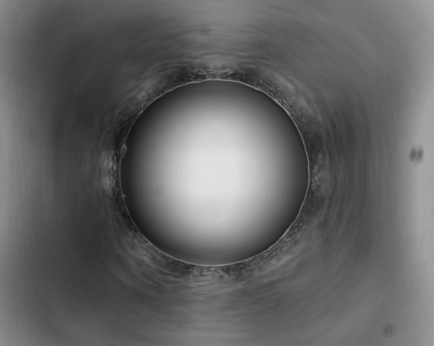 X0000102790866200808181257