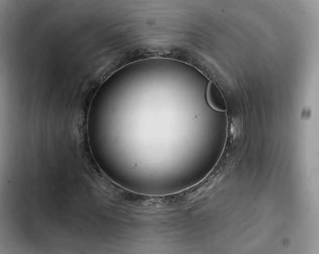 X0000102790867200808181257