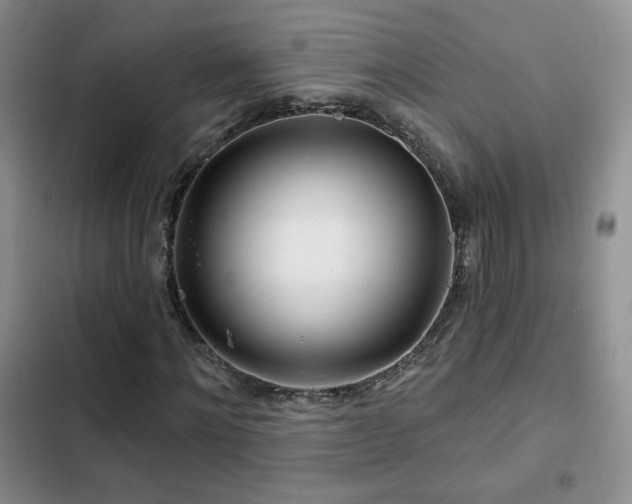 X0000102790868200808181257