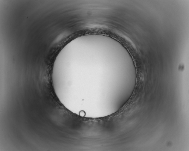 X0000102790869200808181257