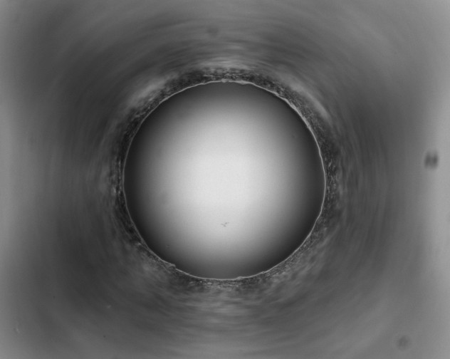 X0000102790870200808181257