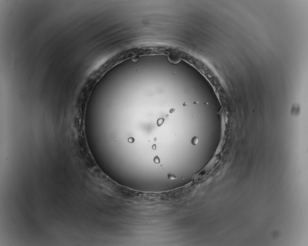 X0000102790871200808181257