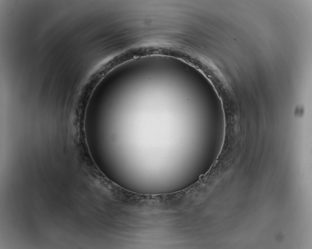 X0000102790872200808181257
