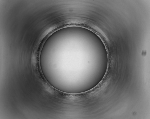 X0000102790874200808181257