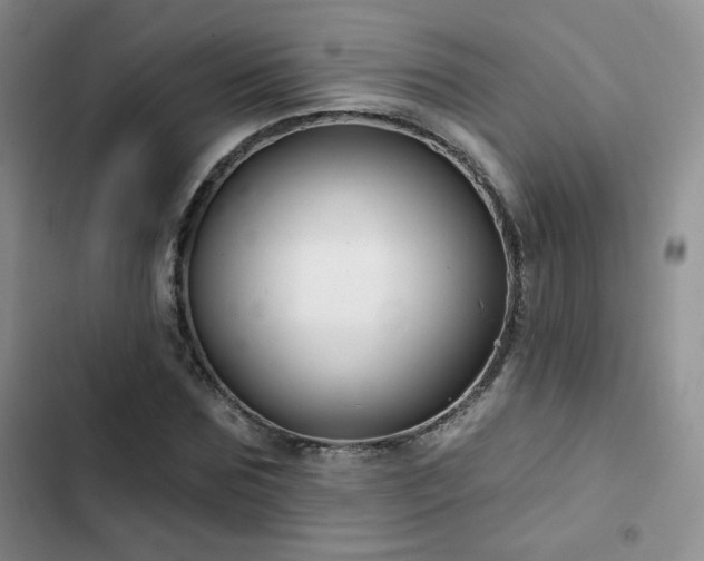 X0000102790875200808181257