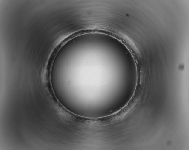 X0000102790876200808181257