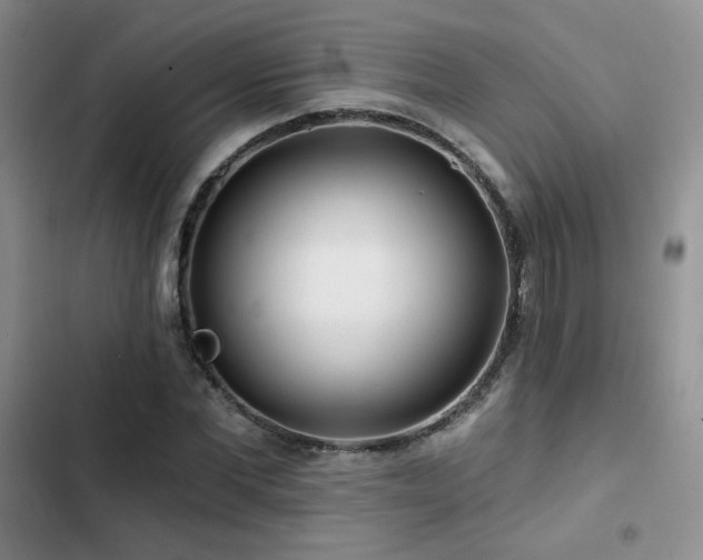 X0000102790877200808181257
