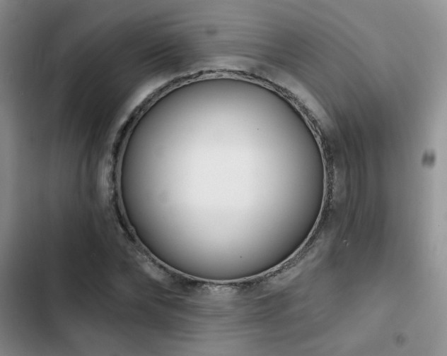 X0000102790878200808181257