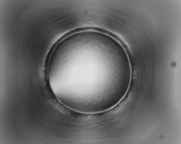 X0000102790879200808181257