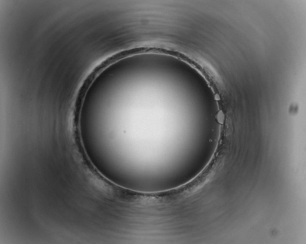 X0000102790880200808181257