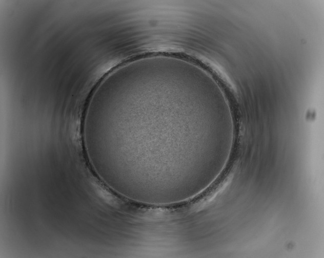 X0000102790881200808181257