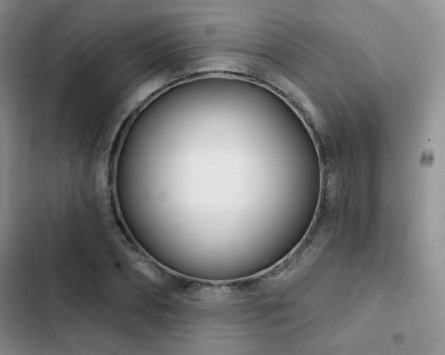 X0000102790882200808181257