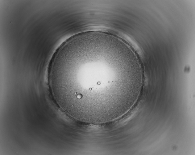 X0000102790883200808181257
