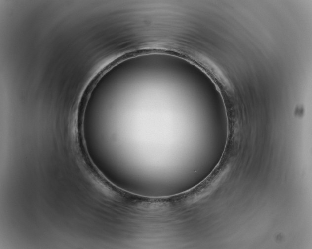 X0000102790884200808181257