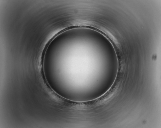 X0000102790885200808181257