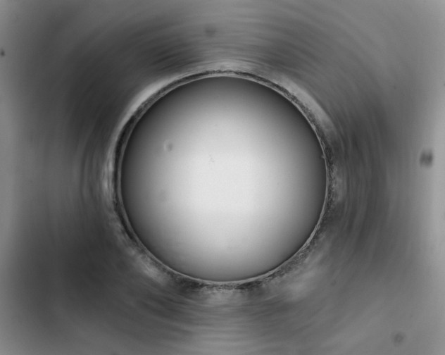 X0000102790886200808181257