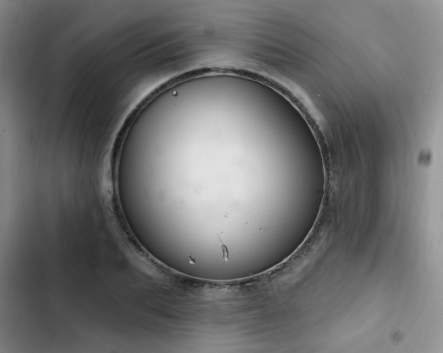X0000102790887200808181257