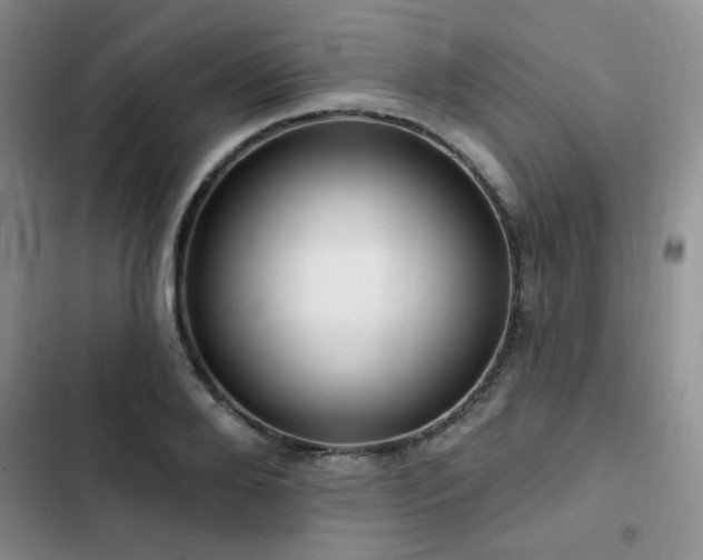 X0000102790888200808181257