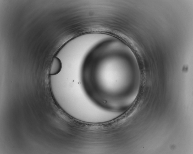 X0000102790889200808181257
