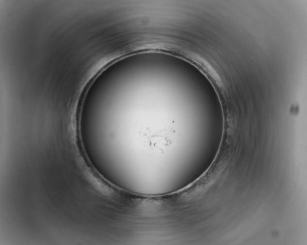 X0000102790890200808181257