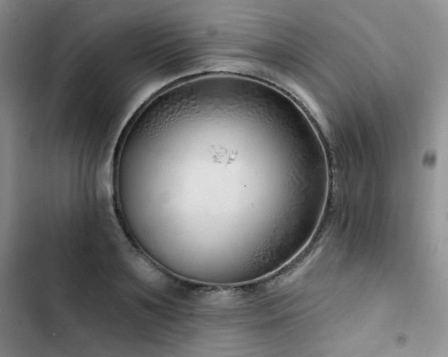 X0000102790891200808181257