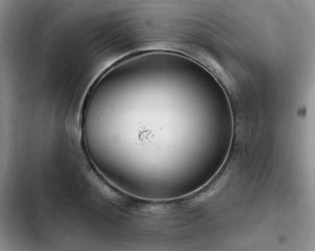 X0000102790892200808181257