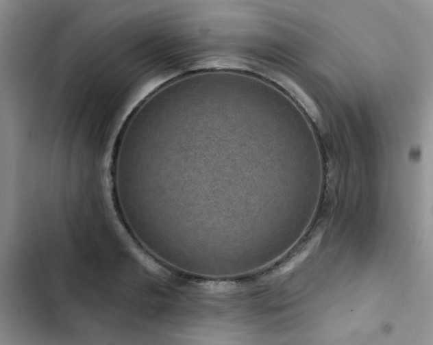 X0000102790893200808181257