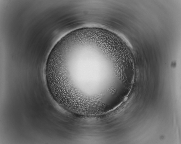 X0000102790895200808181257