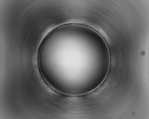 X0000102790896200808181257