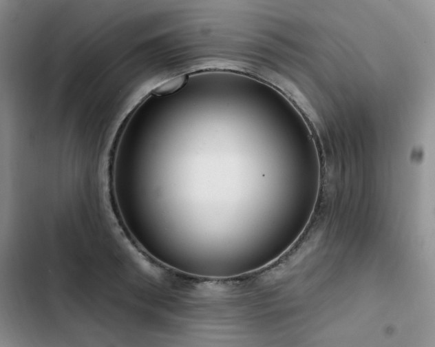 X0000102790898200808181257