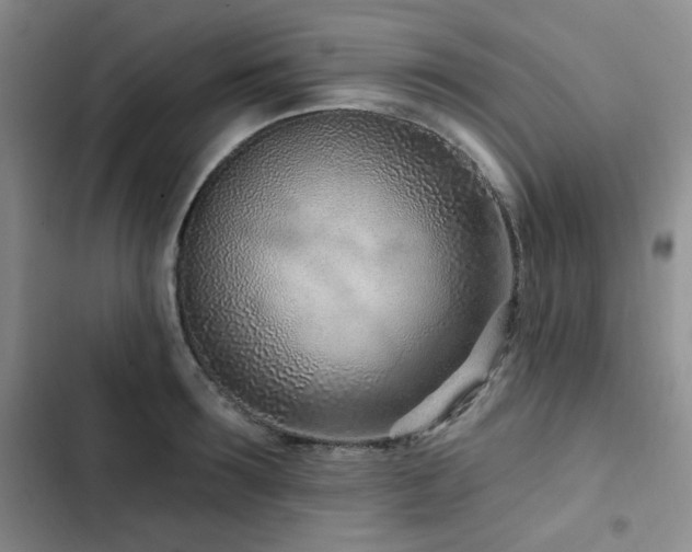 X0000102790899200808181257