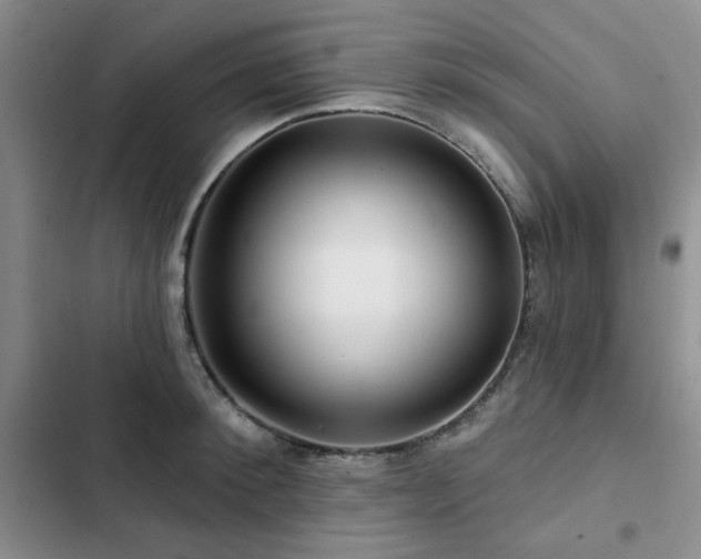 X0000102790900200808181257