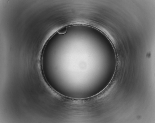 X0000102790901200808181257
