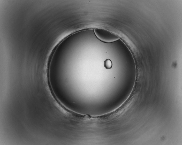 X0000102790902200808181257