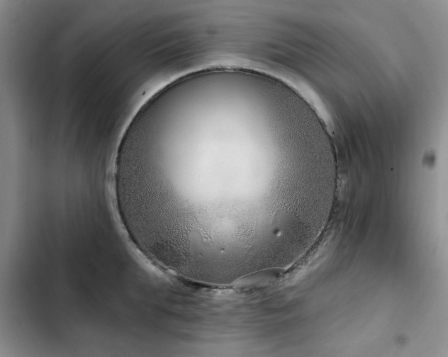 X0000102790903200808181257
