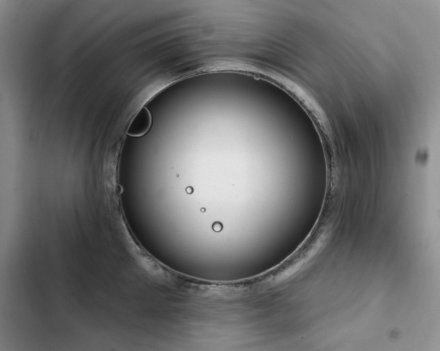 X0000102790905200808181257